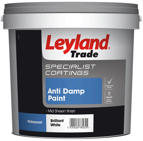 Anti-Damp Paint