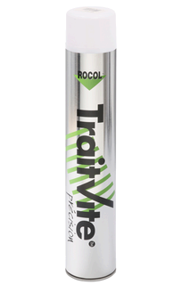 AÉROSOL TRAITVITE (L'unité - Blanc 750 ml)