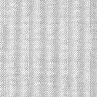 SKINGLASS DECOR TRAME 904
