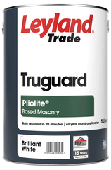Pliolite Masonry