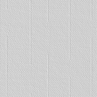 SKINGLASS DECOR PLUIE 901