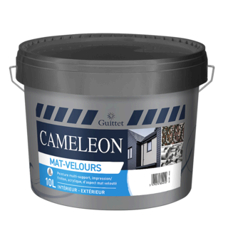 CAMELEON
