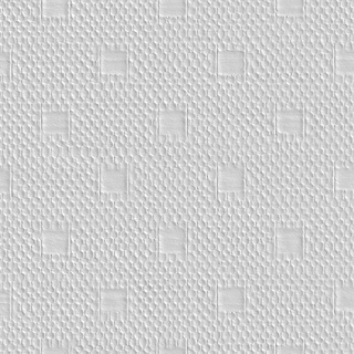 SKINGLASS DAMIER 162