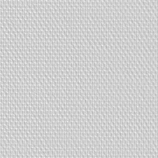 SKINGLASS MAILLE CLASSIQUE 131
