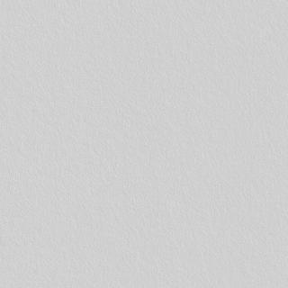 SKINGLASS NON TISSE VP35
